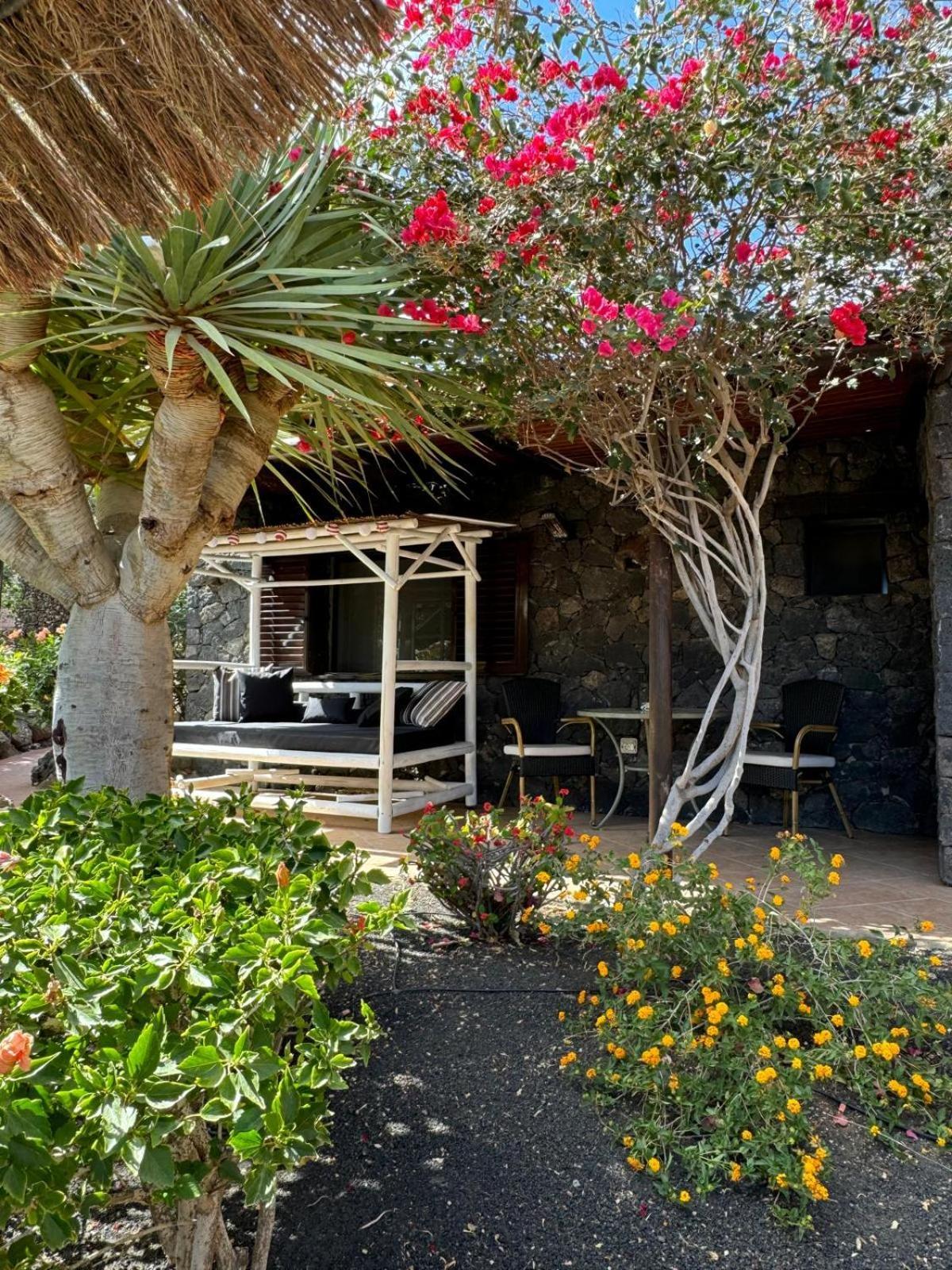 Castillo Lanzarote Villa Bailey - Luxury Villa - Pet Friendly With Heated Pool La Asomada  Eksteriør billede